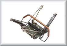 Pantograph, according to Mikado type 4.1, price per piece.